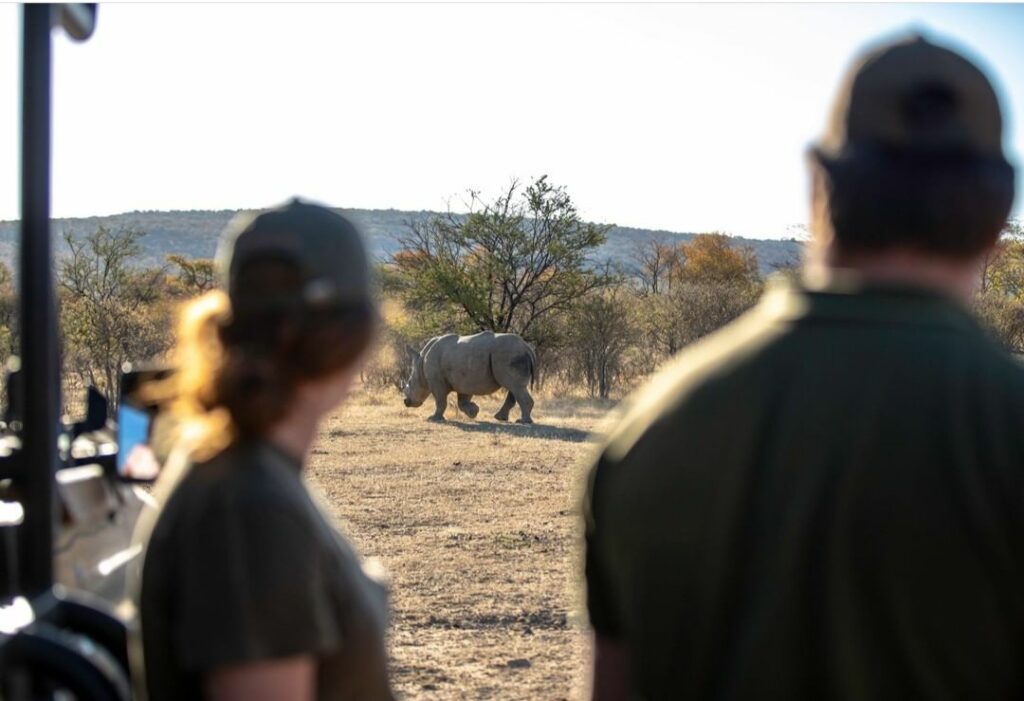 In the feature on DutchiesEmigreren.nl, we share how years of travel through Southern Africa led to a dream of life in the bush, how we planned our move, navigated the visa process, bought land in Limpopo, and now run Lowes Africa Lodge — all while embracing the challenges and joys of our new home.